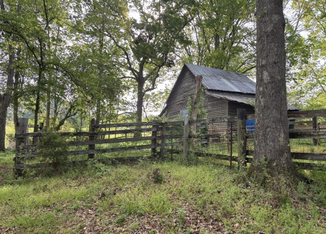 492072518_10236386343388001_5257188389779693629_n